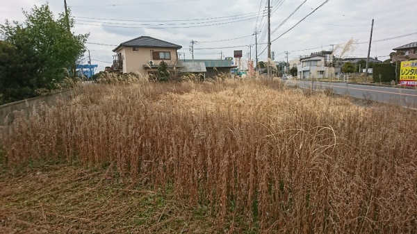 松尾で草刈りしました。