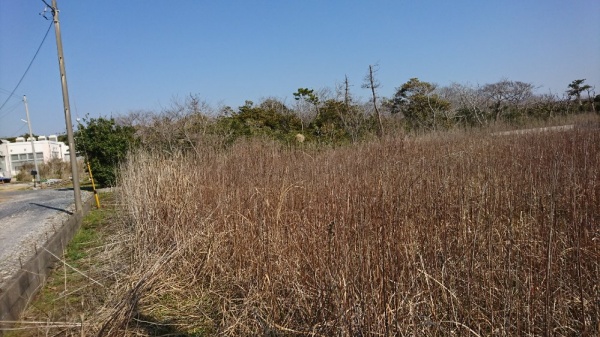 ２日の土曜日は飯岡で草刈り作業しました。